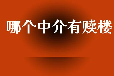 哪个中介有赎楼_https://wap.78312.cn_金融监管_第1张