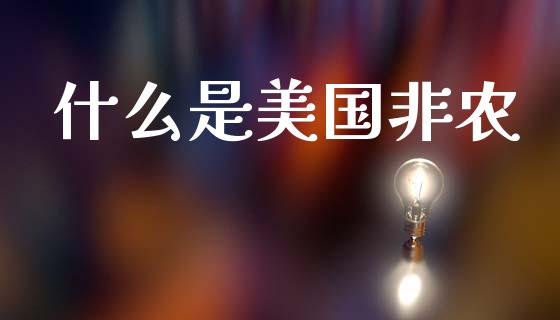 什么是美国非农_https://wap.78312.cn_财经新闻_第1张