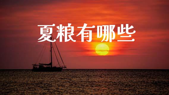 夏粮有哪些_https://wap.78312.cn_财经新闻_第1张