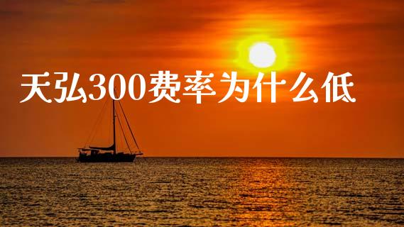 天弘300费率为什么低_https://wap.78312.cn_期货开户_第1张