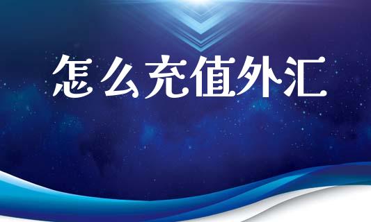 怎么充值外汇_https://wap.78312.cn_债券资讯_第1张