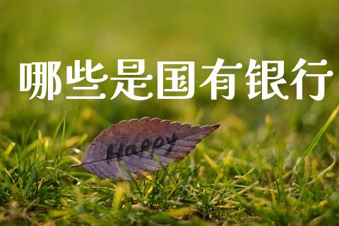 哪些是国有银行_https://wap.78312.cn_期货开户_第1张