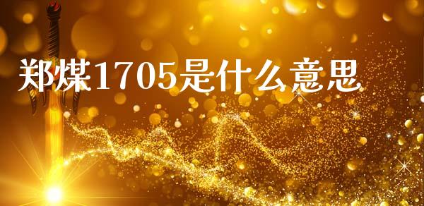 郑煤1705是什么意思_https://wap.78312.cn_期货开户_第1张
