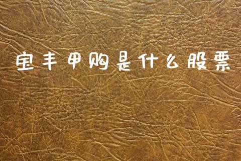 宝丰甲购是什么股票_https://wap.78312.cn_外汇交易_第1张