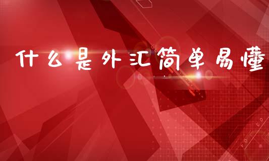 什么是外汇简单易懂_https://wap.78312.cn_全球市场_第1张