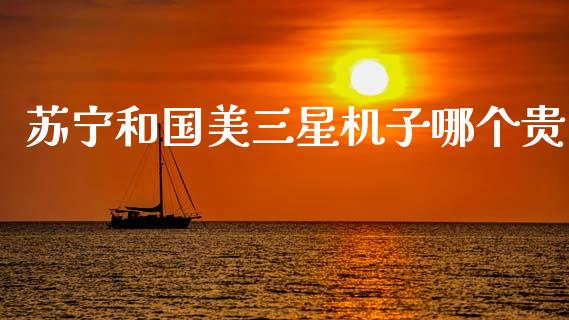 苏宁和国美三星机子哪个贵_https://wap.78312.cn_债券资讯_第1张