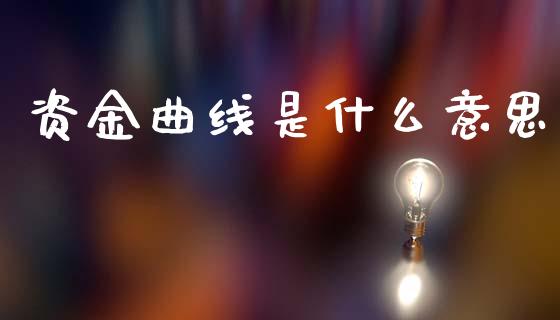 资金曲线是什么意思_https://wap.78312.cn_金融监管_第1张