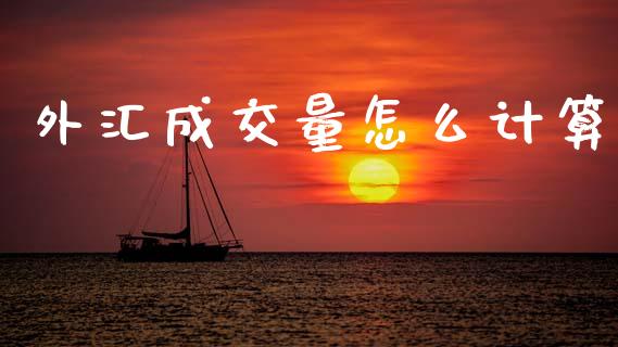 外汇成交量怎么计算_https://wap.78312.cn_金融监管_第1张