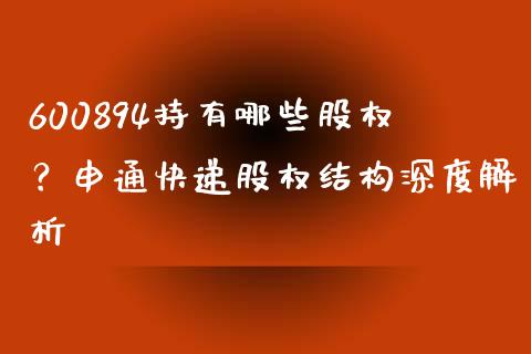 600894持有哪些股权？申通快递股权结构深度解析_https://wap.78312.cn_债券资讯_第1张