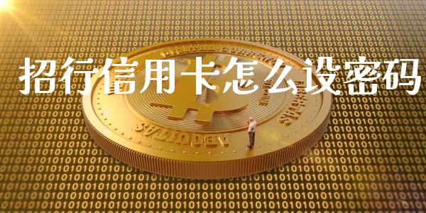 招行信用卡怎么设密码_https://wap.78312.cn_债券资讯_第1张