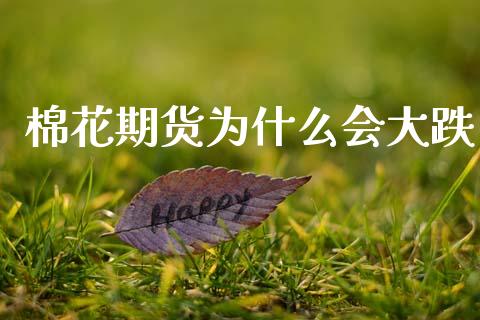 棉花期货为什么会大跌_https://wap.78312.cn_全球市场_第1张