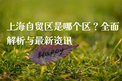 上海自贸区是哪个区？全面解析与最新资讯_https://wap.78312.cn_外汇交易_第1张