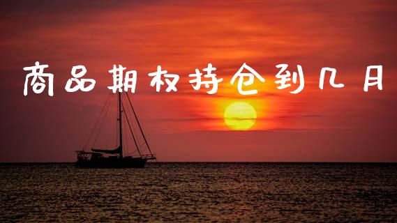 商品期权持仓到几月_https://wap.78312.cn_外汇交易_第1张