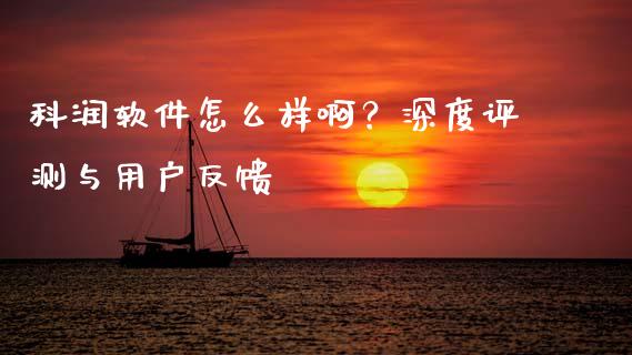 科润软件怎么样啊？深度评测与用户反馈_https://wap.78312.cn_金融监管_第1张