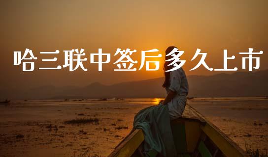 哈三联中签后多久上市_https://wap.78312.cn_债券资讯_第1张