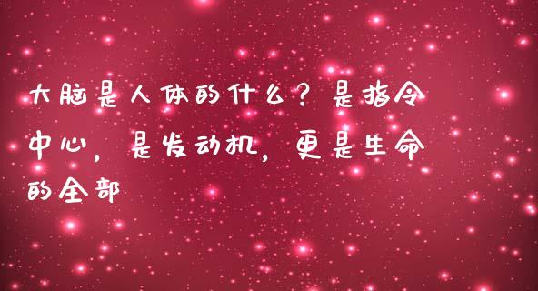 大脑是人体的什么？是指令中心，是发动机，更是生命的全部_https://wap.78312.cn_外汇交易_第1张