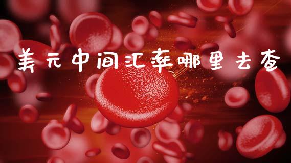 美元中间汇率哪里去查_https://wap.78312.cn_全球市场_第1张