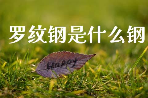 罗纹钢是什么钢_金融监管_第1张_期货开户_金融监管_外汇交易_债券资讯_全球市场_财经新闻 罗纹钢是什么钢_https://wap.78312.cn_金融监管_第1张