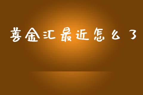 善金汇最近怎么了_https://wap.78312.cn_期货开户_第1张