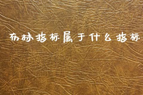 布林指标属于什么指标_https://wap.78312.cn_期货开户_第1张