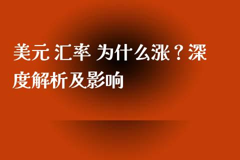 美元 汇率 为什么涨？深度解析及影响_https://wap.78312.cn_外汇交易_第1张