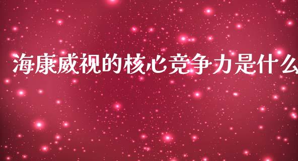 海康威视的核心竞争力是什么_https://wap.78312.cn_金融监管_第1张
