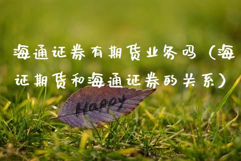海通证券有期货业务吗（海证期货和海通证券的关系）_https://wap.78312.cn_期货开户_第1张