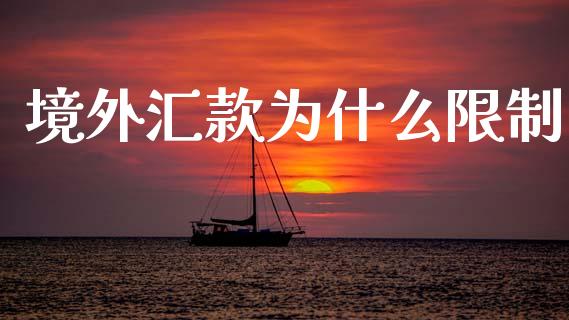 境外汇款为什么限制_https://wap.78312.cn_金融监管_第1张