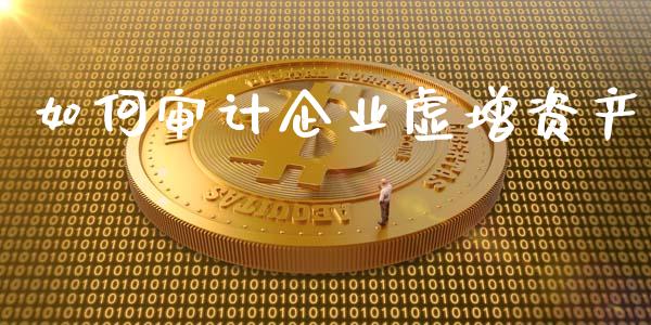 如何审计企业虚增资产_https://wap.78312.cn_财经新闻_第1张