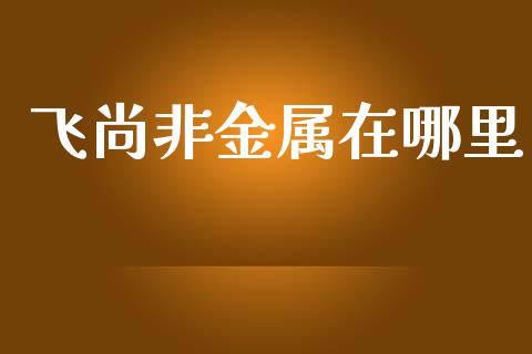 飞尚非金属在哪里_https://wap.78312.cn_财经新闻_第1张