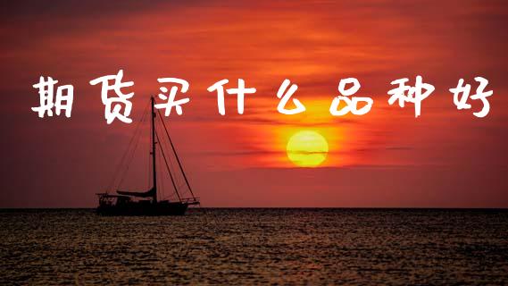 期货买什么品种好_https://wap.78312.cn_期货开户_第1张