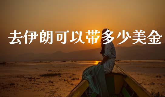 去伊朗可以带多少美金_https://wap.78312.cn_全球市场_第1张