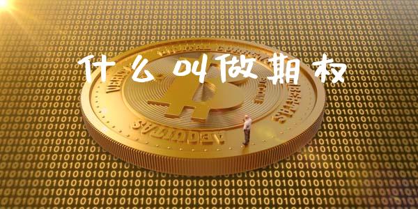 什么叫做期权_https://wap.78312.cn_全球市场_第1张