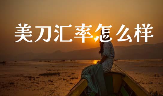美刀汇率怎么样_https://wap.78312.cn_财经新闻_第1张