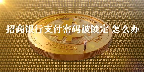 招商银行支付密码被锁定 怎么办_https://wap.78312.cn_债券资讯_第1张