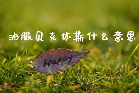 油服贝克休斯什么意思_https://wap.78312.cn_外汇交易_第1张