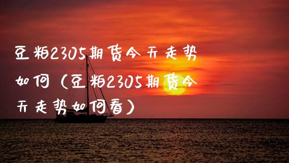 豆粕2305期货今天走势如何（豆粕2305期货今天走势如何看）_https://wap.78312.cn_财经新闻_第1张