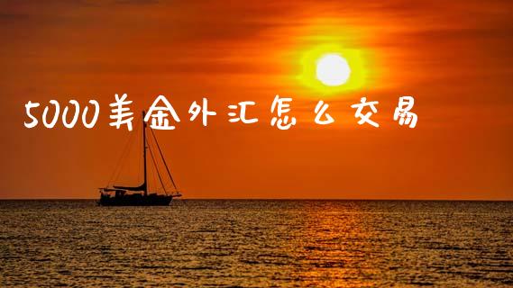 5000美金外汇怎么交易_https://wap.78312.cn_债券资讯_第1张