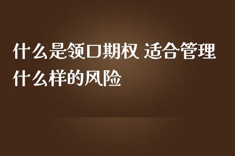 什么是领口期权 适合管理什么样的风险_https://wap.78312.cn_财经新闻_第1张