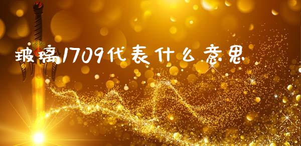 玻璃1709代表什么意思_https://wap.78312.cn_债券资讯_第1张