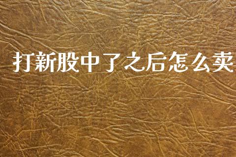 打新股中了之后怎么卖_https://wap.78312.cn_财经新闻_第1张