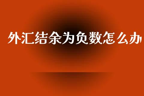 外汇结余为负数怎么办_https://wap.78312.cn_全球市场_第1张