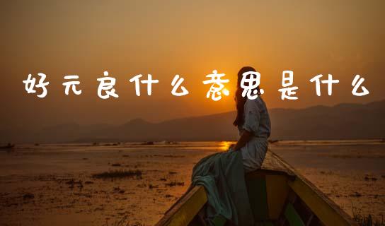 好元良什么意思是什么_https://wap.78312.cn_财经新闻_第1张