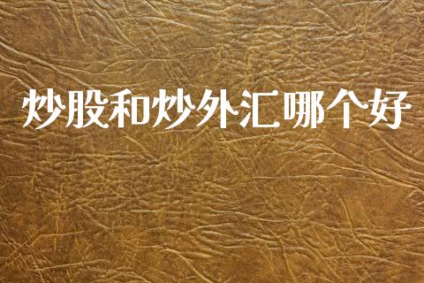 炒股和炒外汇哪个好_https://wap.78312.cn_金融监管_第1张