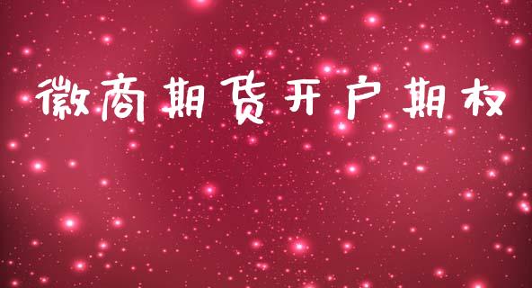 徽商期货开户期权_https://wap.78312.cn_外汇交易_第1张
