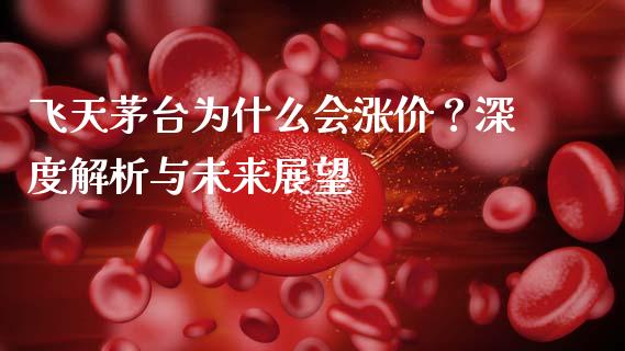 飞天茅台为什么会涨价？深度解析与未来展望_https://wap.78312.cn_期货开户_第1张