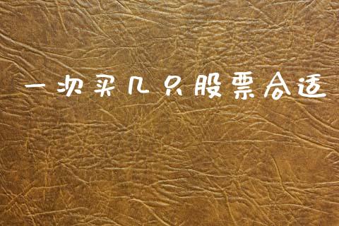 一次买几只股票合适_https://wap.78312.cn_外汇交易_第1张