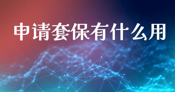 申请套保有什么用_https://wap.78312.cn_金融监管_第1张