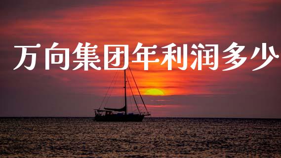 万向集团年利润多少_https://wap.78312.cn_金融监管_第1张