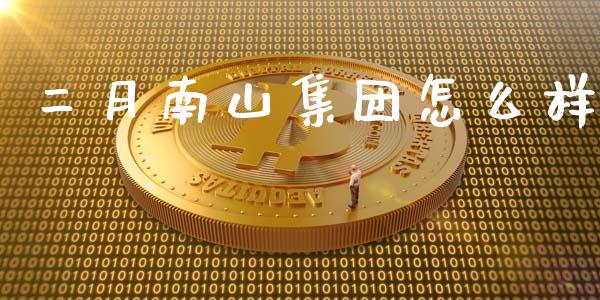 二月南山集团怎么样_https://wap.78312.cn_期货开户_第1张